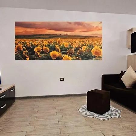 Bellview - Pool & Langa Mare Năvodari